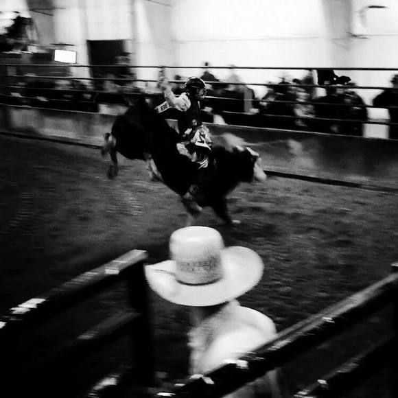 laredobugbee